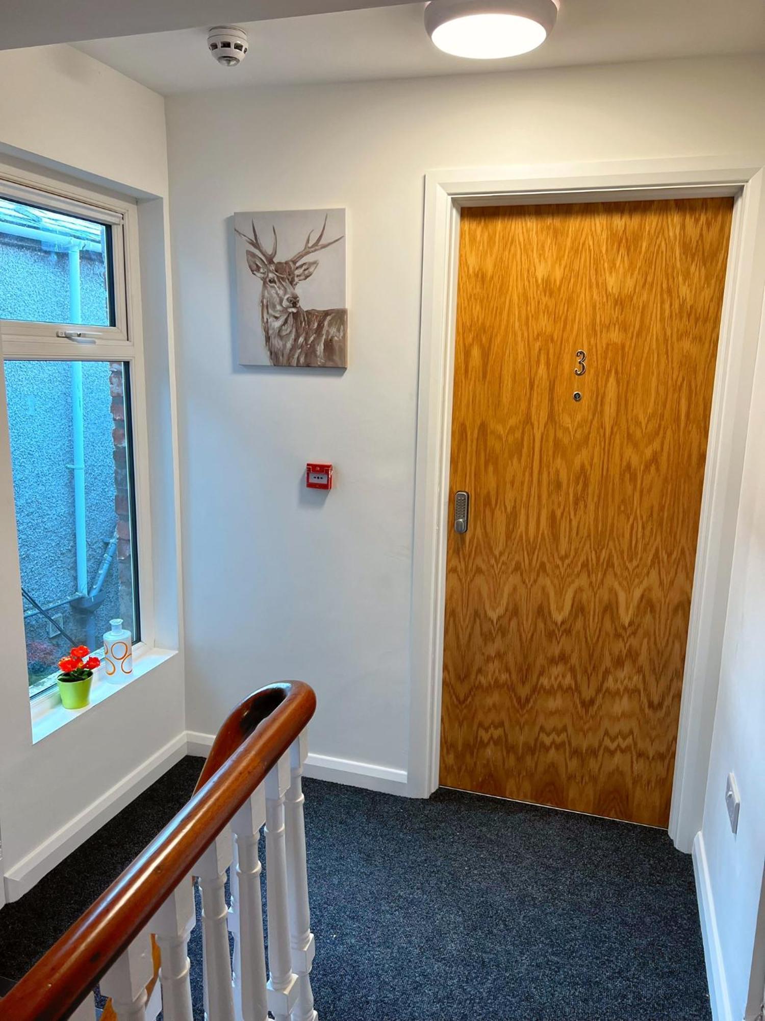 Bangor Central Apartments Extérieur photo